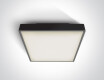 PIRNARI EA ceiling light, 2x12W, E27, IP65, anthracite
