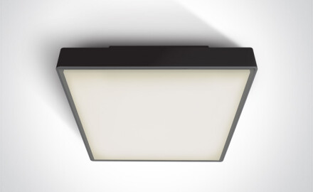 PIRNARI EA ceiling light, 2x12W, E27, IP65, anthracite