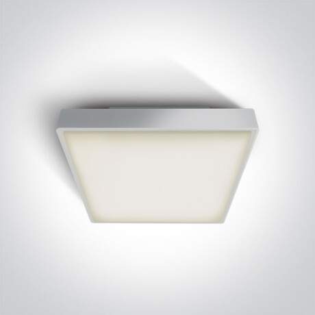 PIRNARI EA ceiling light, 2x12W, E27, IP65, grey #1