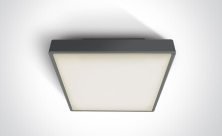 PIRNARI EA ceiling light, 2x12W, E27, IP65, white