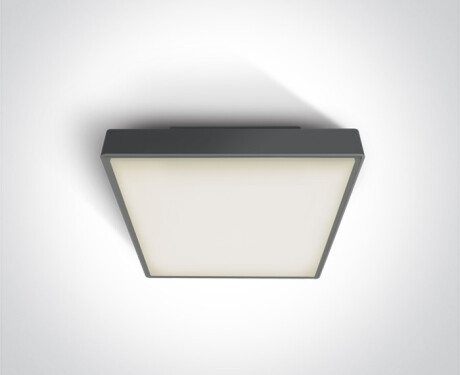 PIRNARI EA ceiling light, 2x12W, E27, IP65, white
