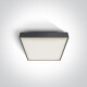 PIRNARI EA ceiling light, 2x12W, E27, IP65, white #1