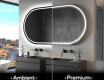 Backlit LED Bathroom Mirror L231