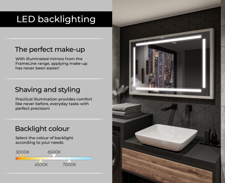 Rectangular Bathroom Mirror With LED Light FrameLine L124 #4