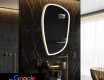 LED Illuminated Irregular Mirorr SMART I222 Google