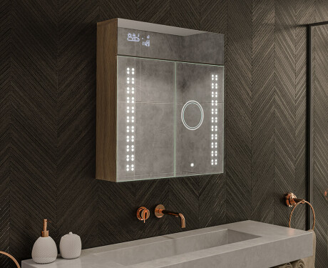 LED Illuminated Mirror Cabinet - L55 Emily 66,5 x 72cm