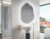 Irregular Mirror LED Lighted decorative design E223